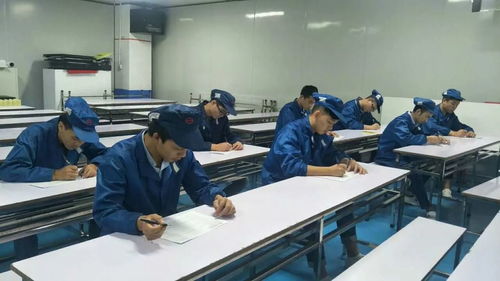 掌握職業技能，增值自我人生——第一工廠工程技術崗位評審認證與信息技術咨詢服務解析